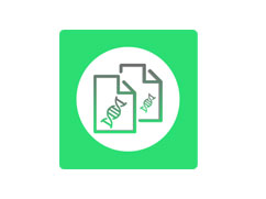 熒光素酶報(bào)告基因載體