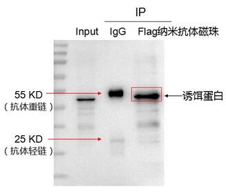 1762939278129753.jpg 4.jpg